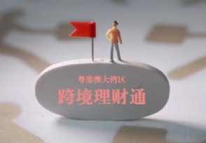 羳ͨʲô˼ϸʾʲô